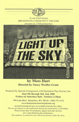 Light Up The Sky poster
